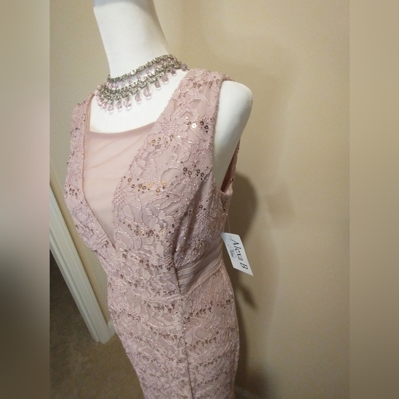 NWT Alexa B Nites Full Length Sequined Lace Dress in Blush Pink - Picture 9 of 9